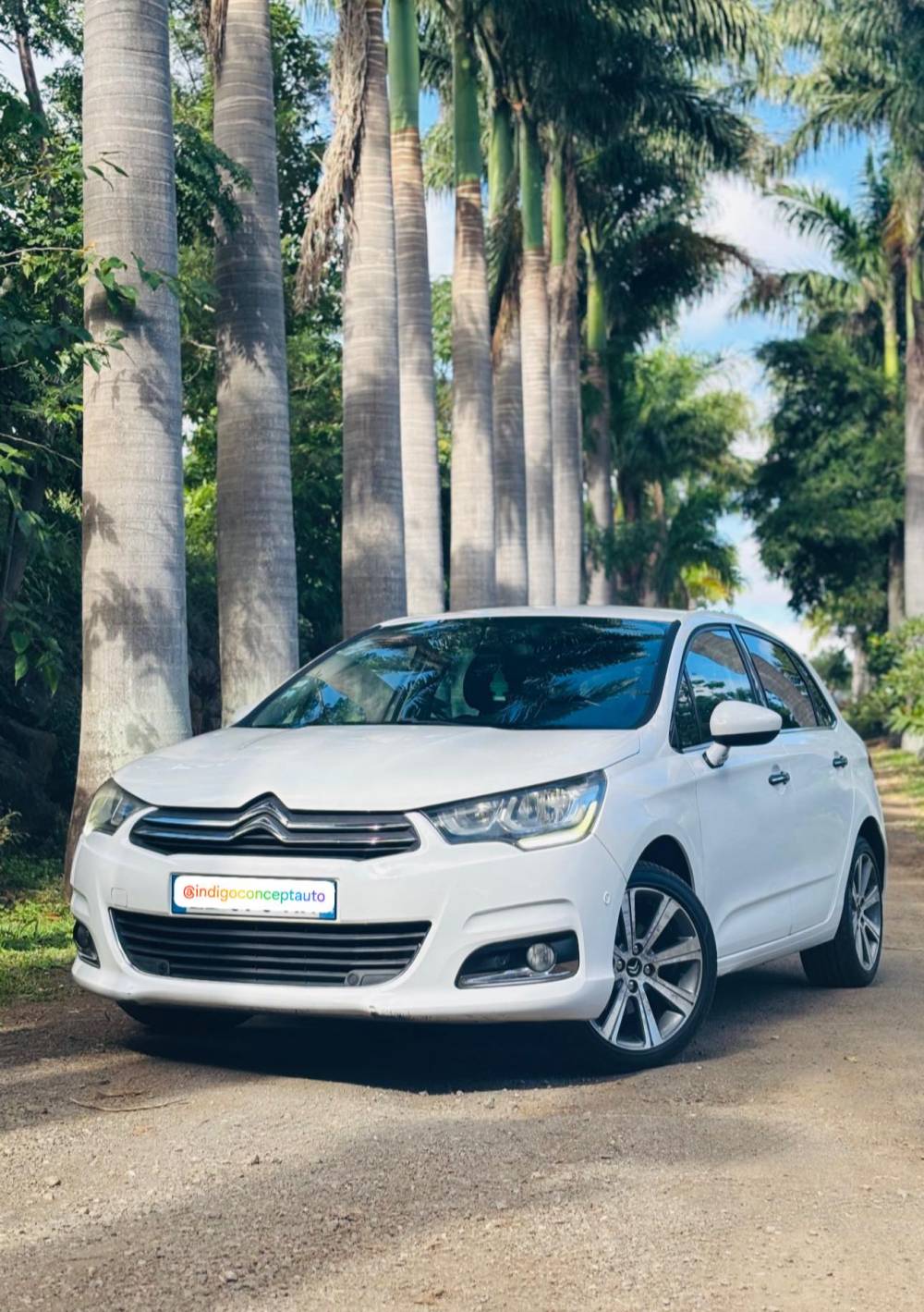 Citroen Citroën C4 II BlueHDi 120ch Shine S&S EAT6
