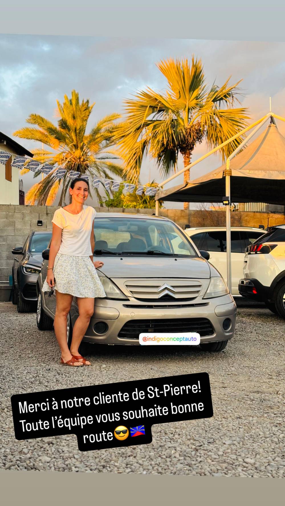 livraison citroen c3 marron
