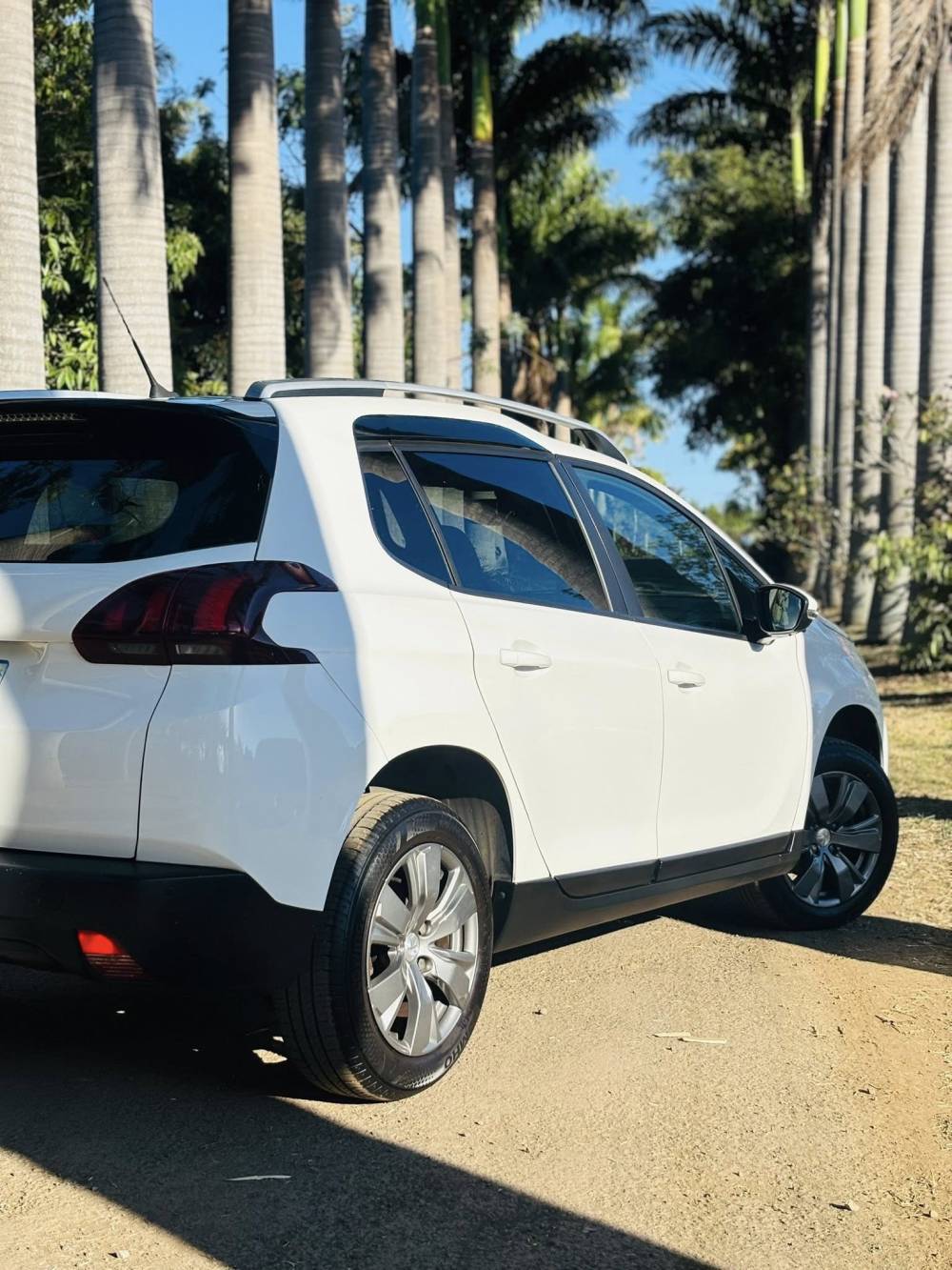 571583711_122221981370264513_8203952088945124364_n