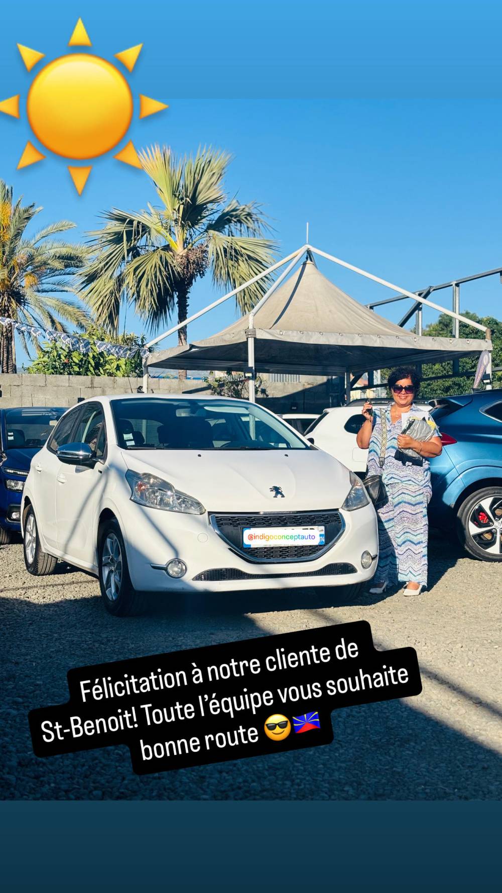 LIVRAISON DU 14/11/2025 - PEUGEOT 208