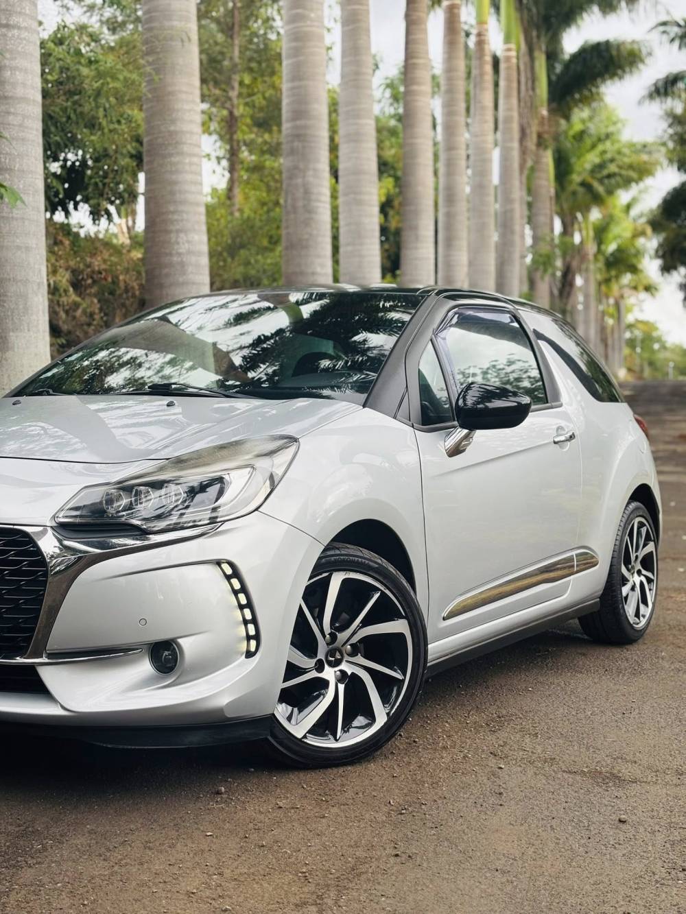 582926423_122224603124264513_4482097305651561513_n