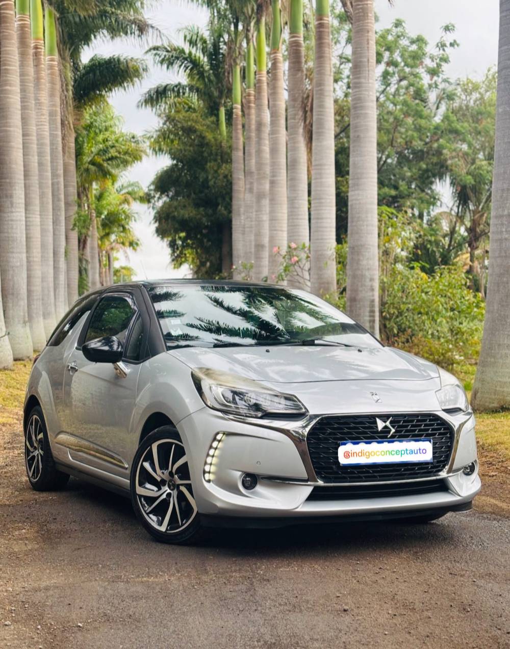 584301917_122224601852264513_968760000713467711_n