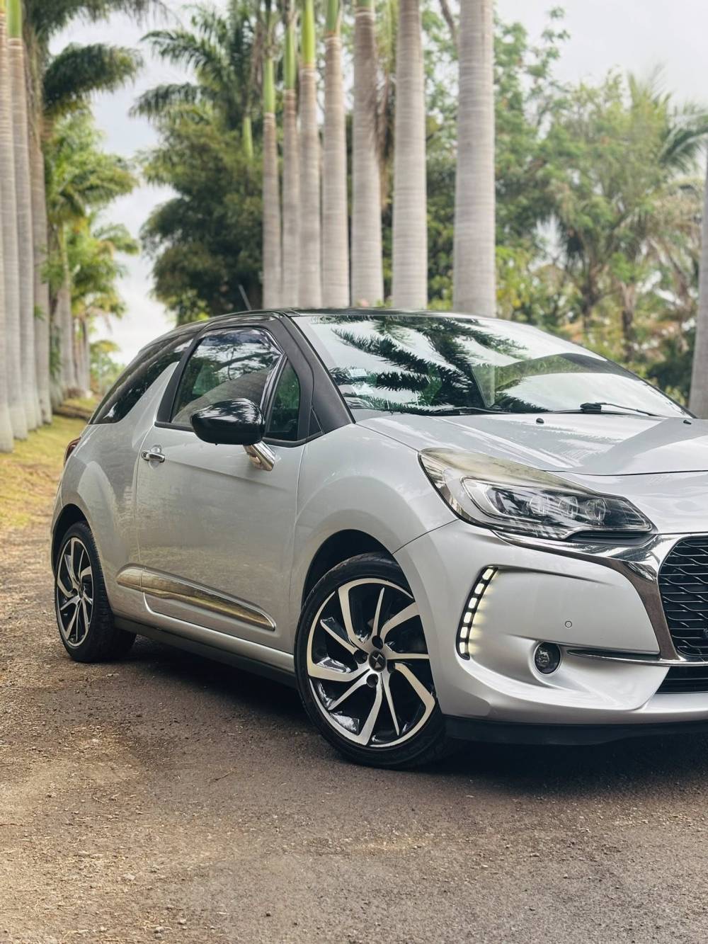 583768392_122224603604264513_3925294914088583997_n