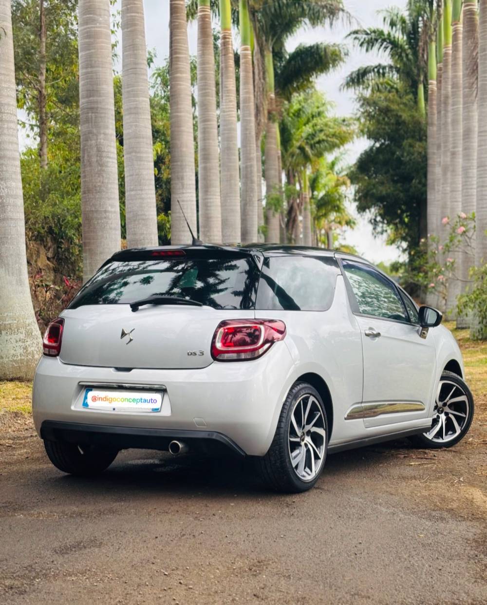 584299264_122224601900264513_2173844234161118960_n