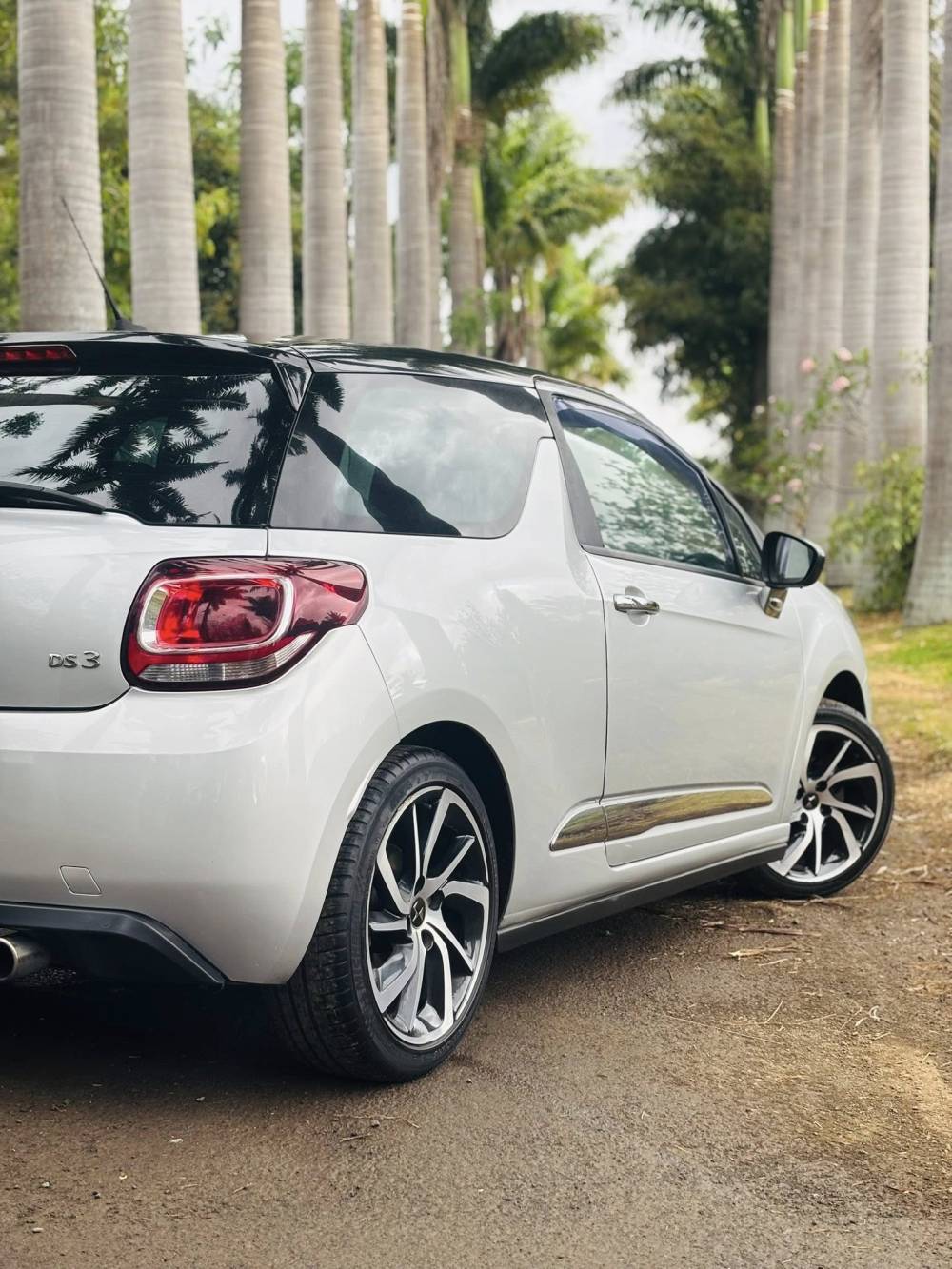 583730861_122224603118264513_6151277295855409293_n