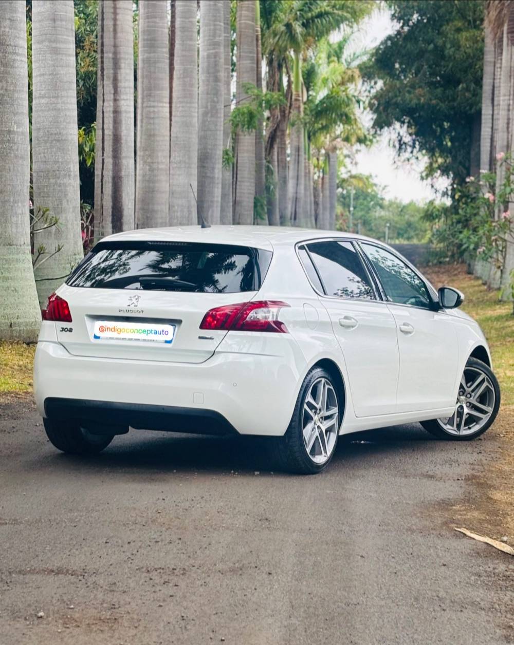 588561241_122225733656264513_559577204956561881_n