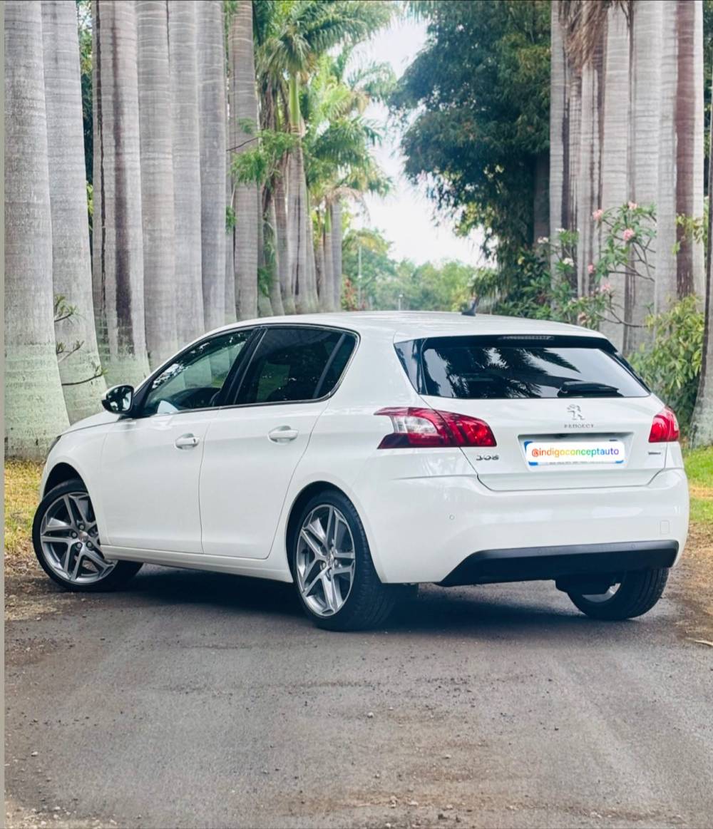 588531291_122225733704264513_2605072452571877467_n