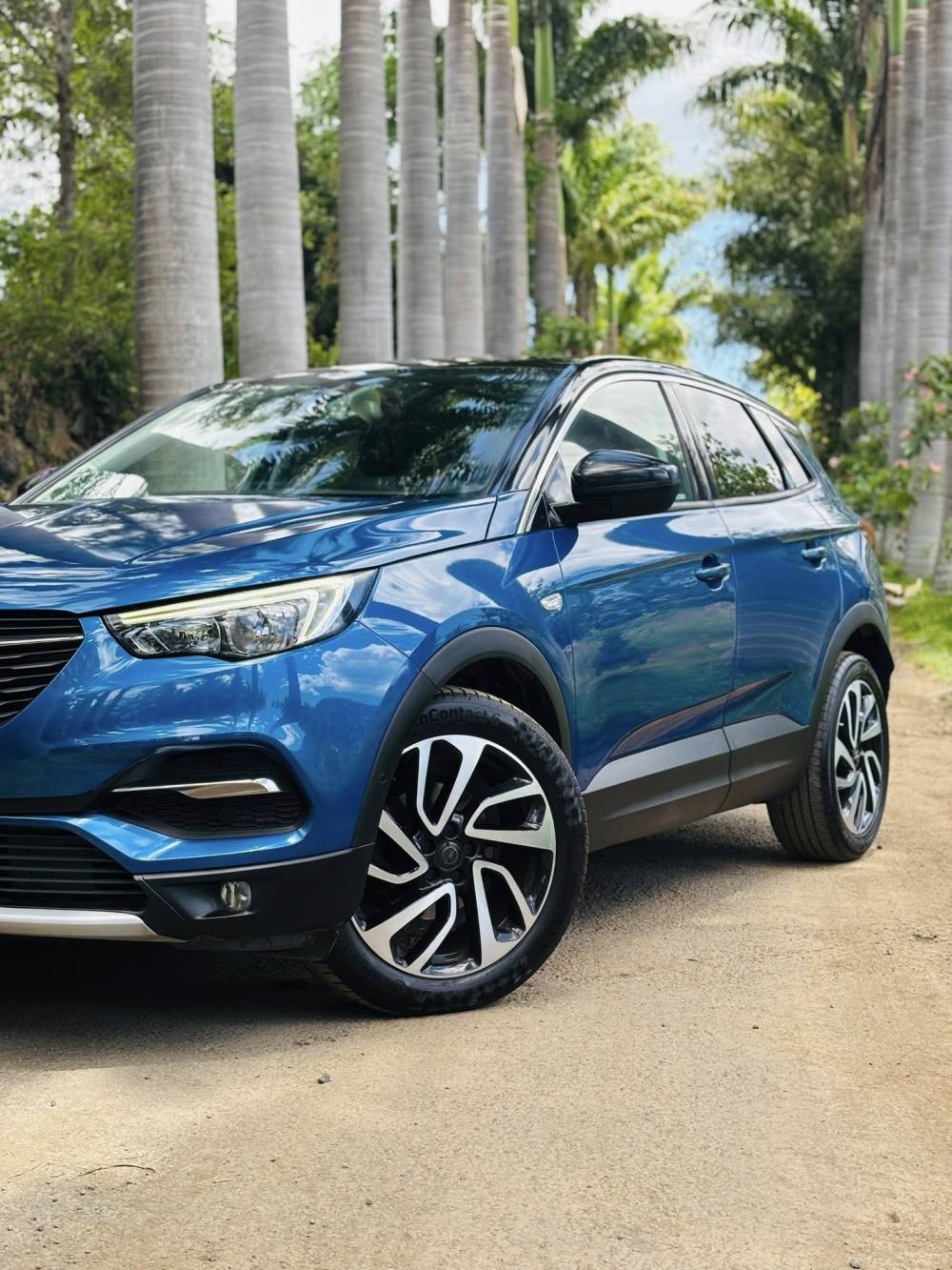 598974844_122228807888264513_7944713501346082528_n