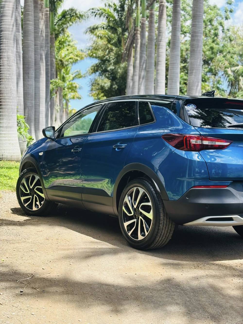 600359304_122228808554264513_7690387620236383309_n