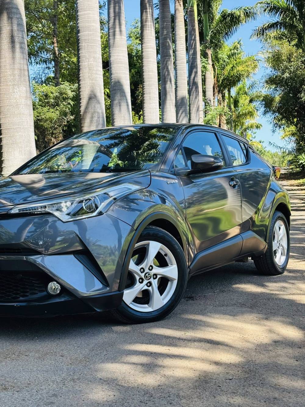 606451604_122230976372264513_1760405831719935362_n