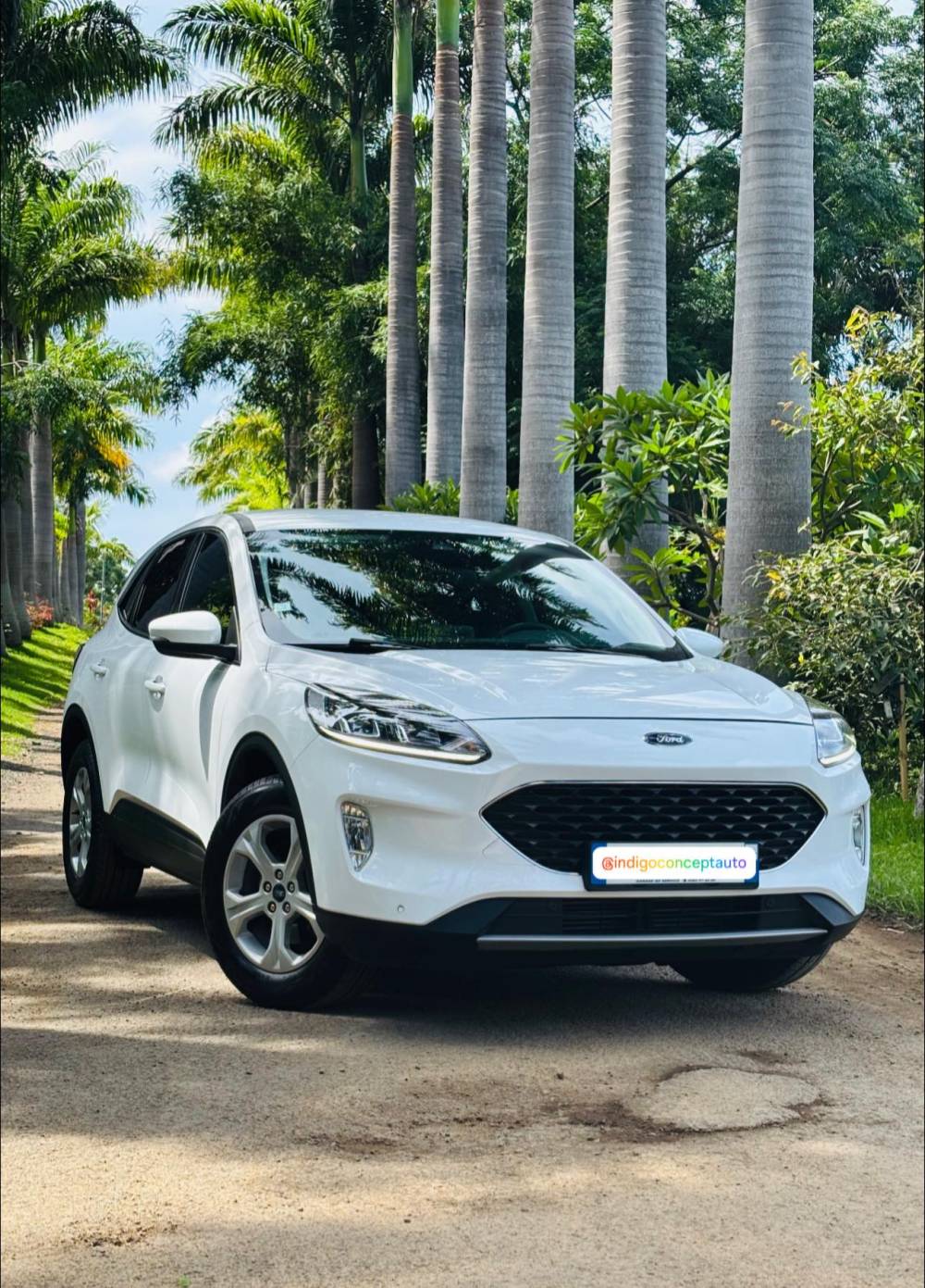 636245073_122237134520264513_1786451820234399797_n