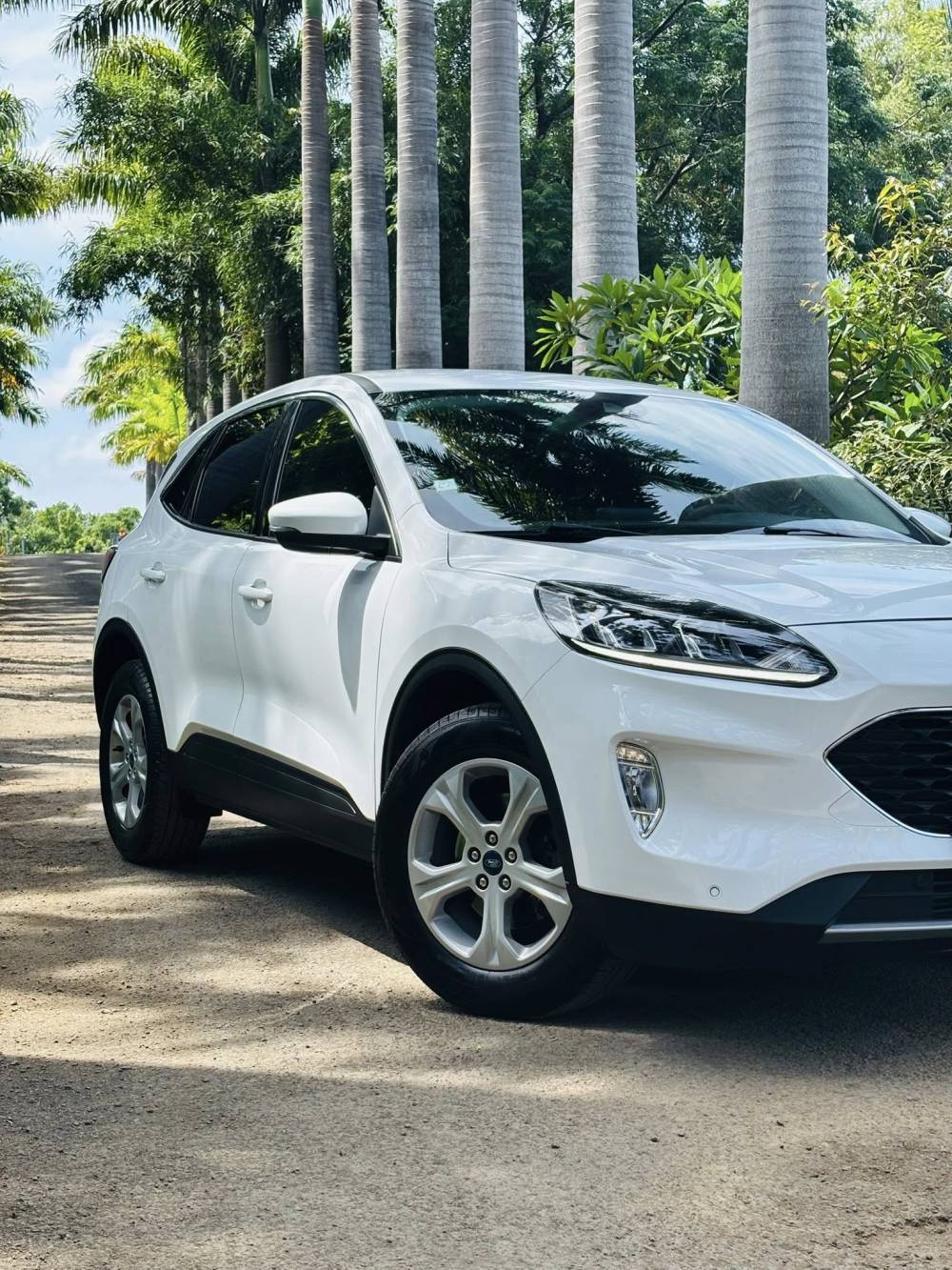 634182333_122237134874264513_6109133495312067984_n