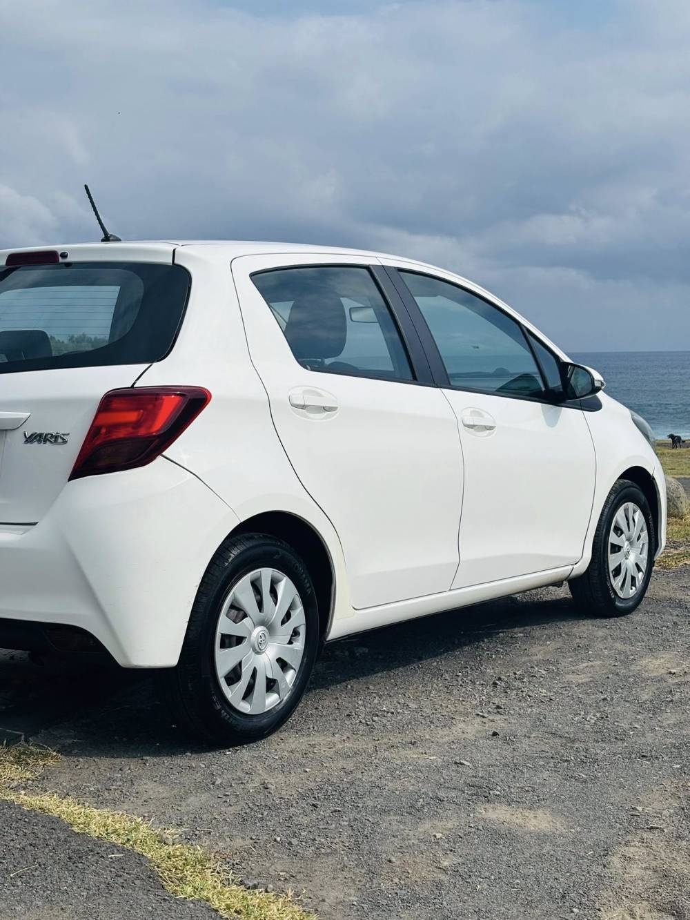 641469964_122237726378264513_4923001222414614775_n