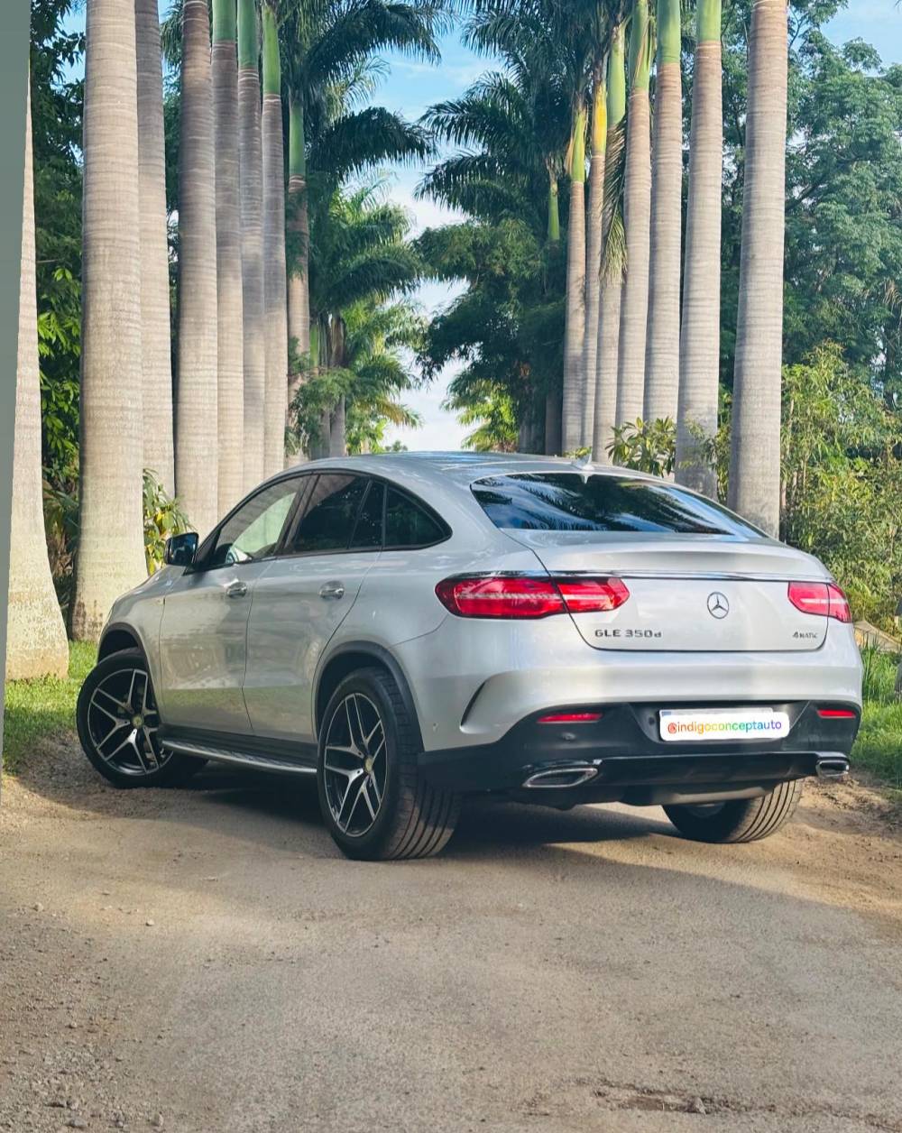 648721343_122239744490264513_8627281989892480602_n