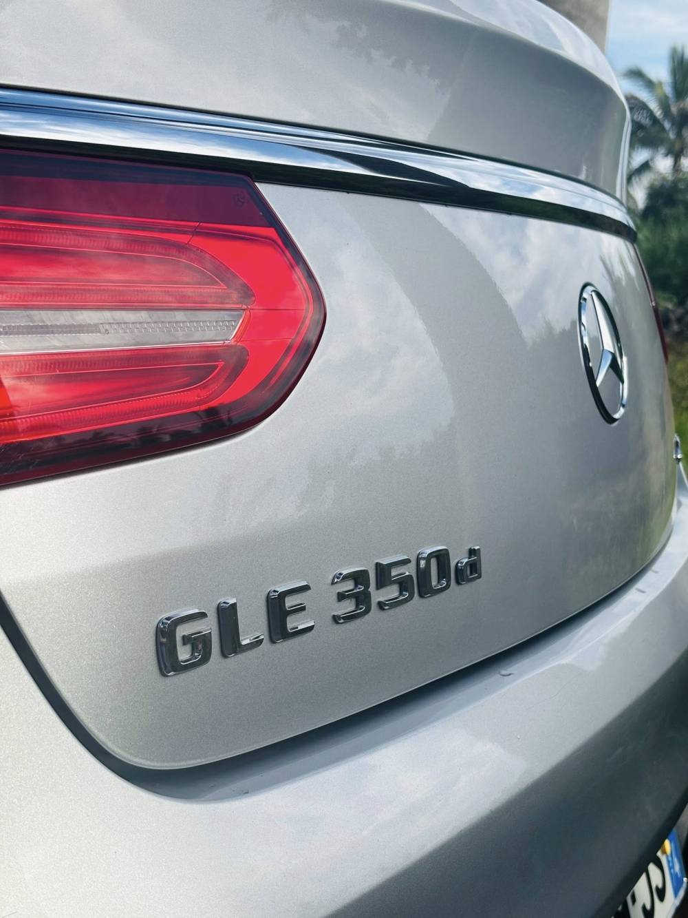 648520637_122239744940264513_7389757054348142139_n