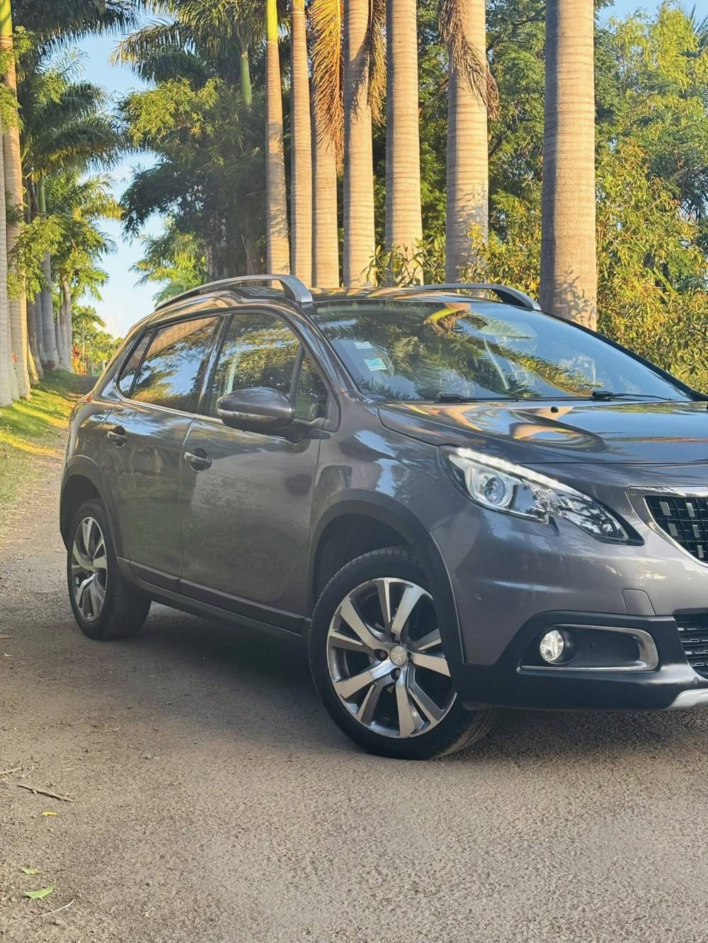 651761452_122240493770264513_994116987279554531_n