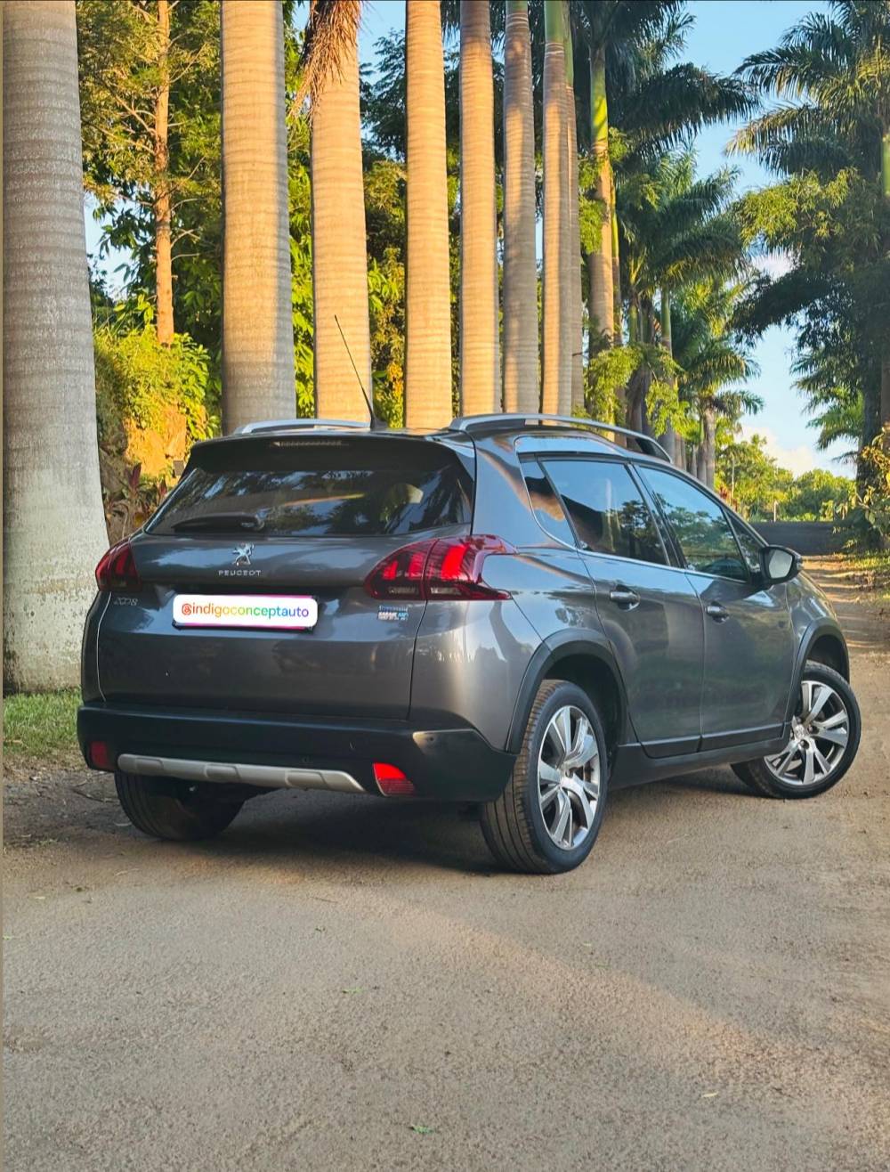 652386887_122240493566264513_7894257433818985619_n