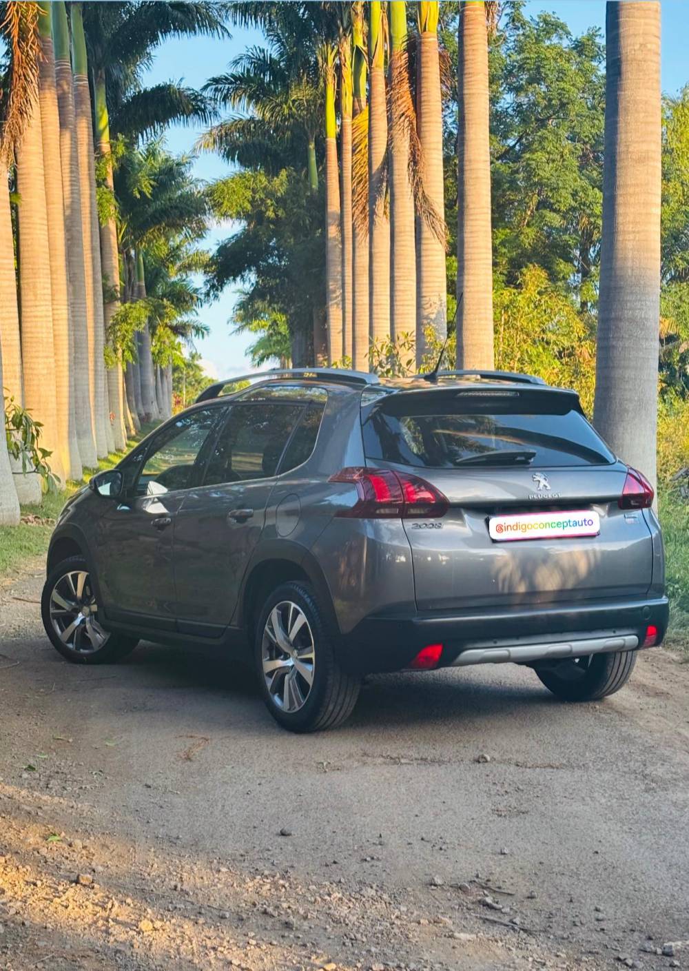 649999315_122240493608264513_5440900807851425258_n