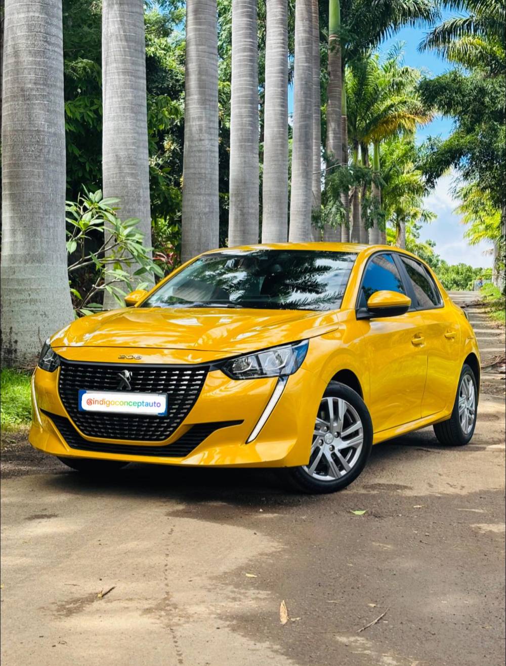 652616228_122241042188264513_3764985446423156147_n