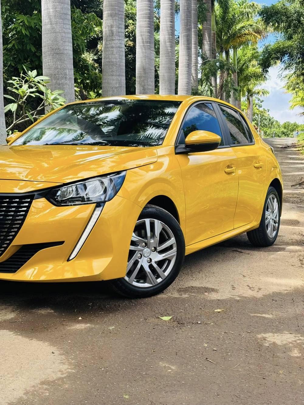 653763129_122241042608264513_8418953251229893228_n