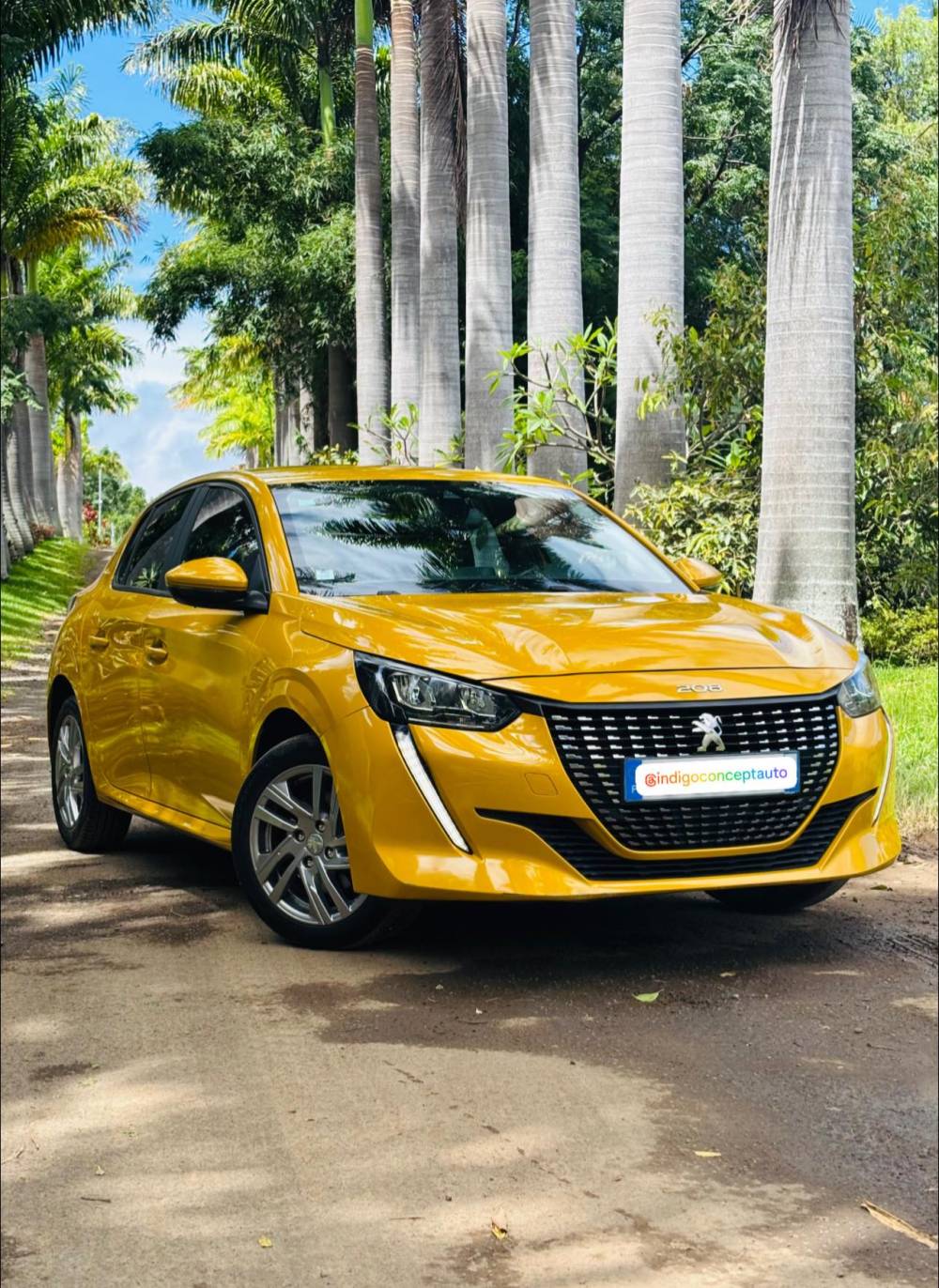 652320245_122241042128264513_1012612384950862676_n