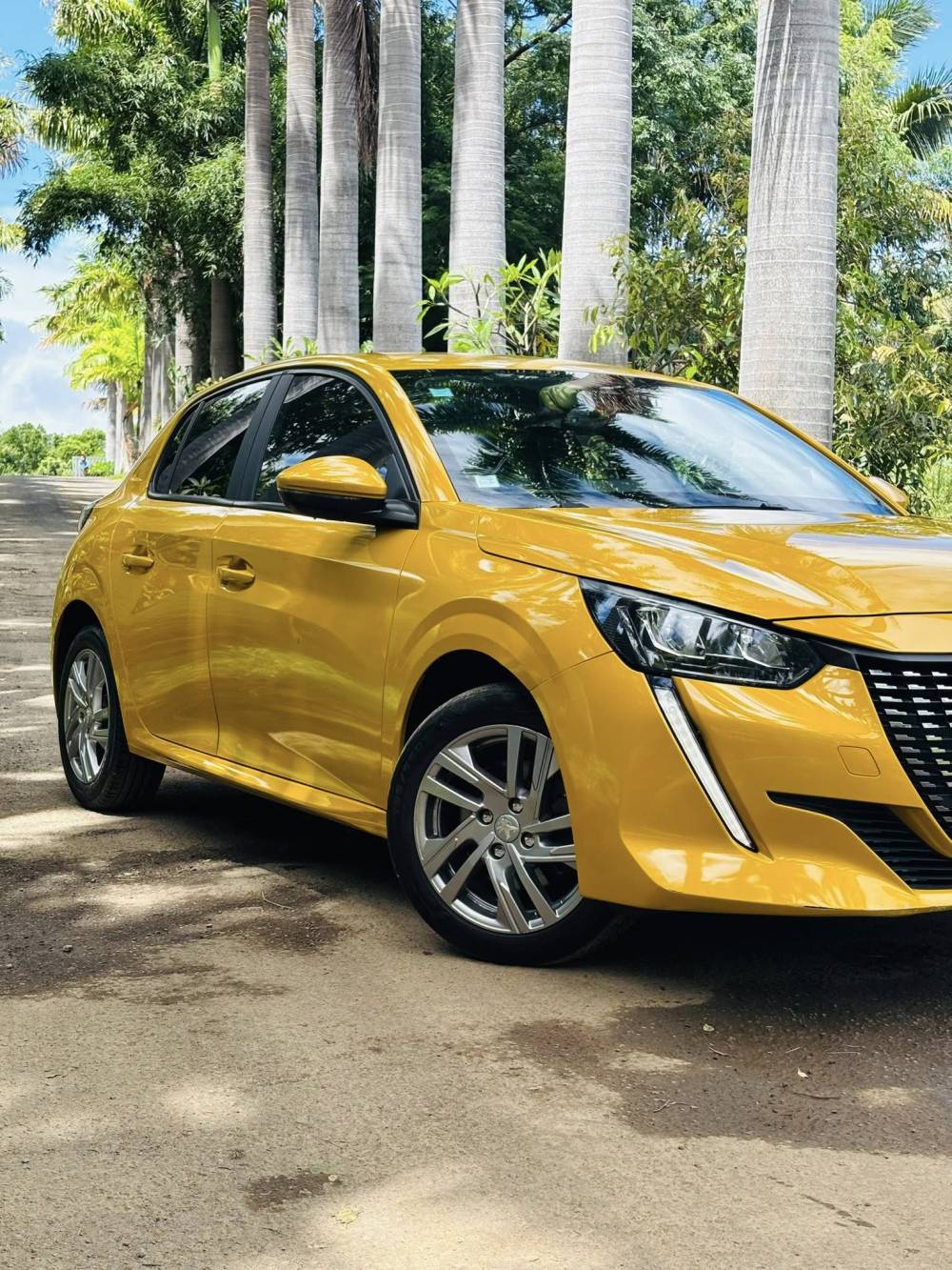 653712825_122241042518264513_2213135073057314221_n