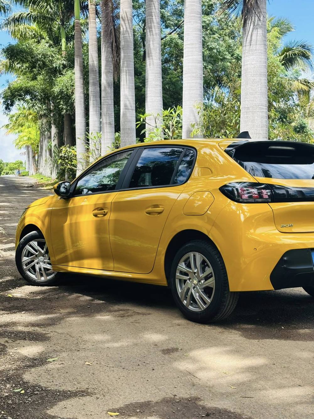 653890503_122241042638264513_7739929518400884316_n