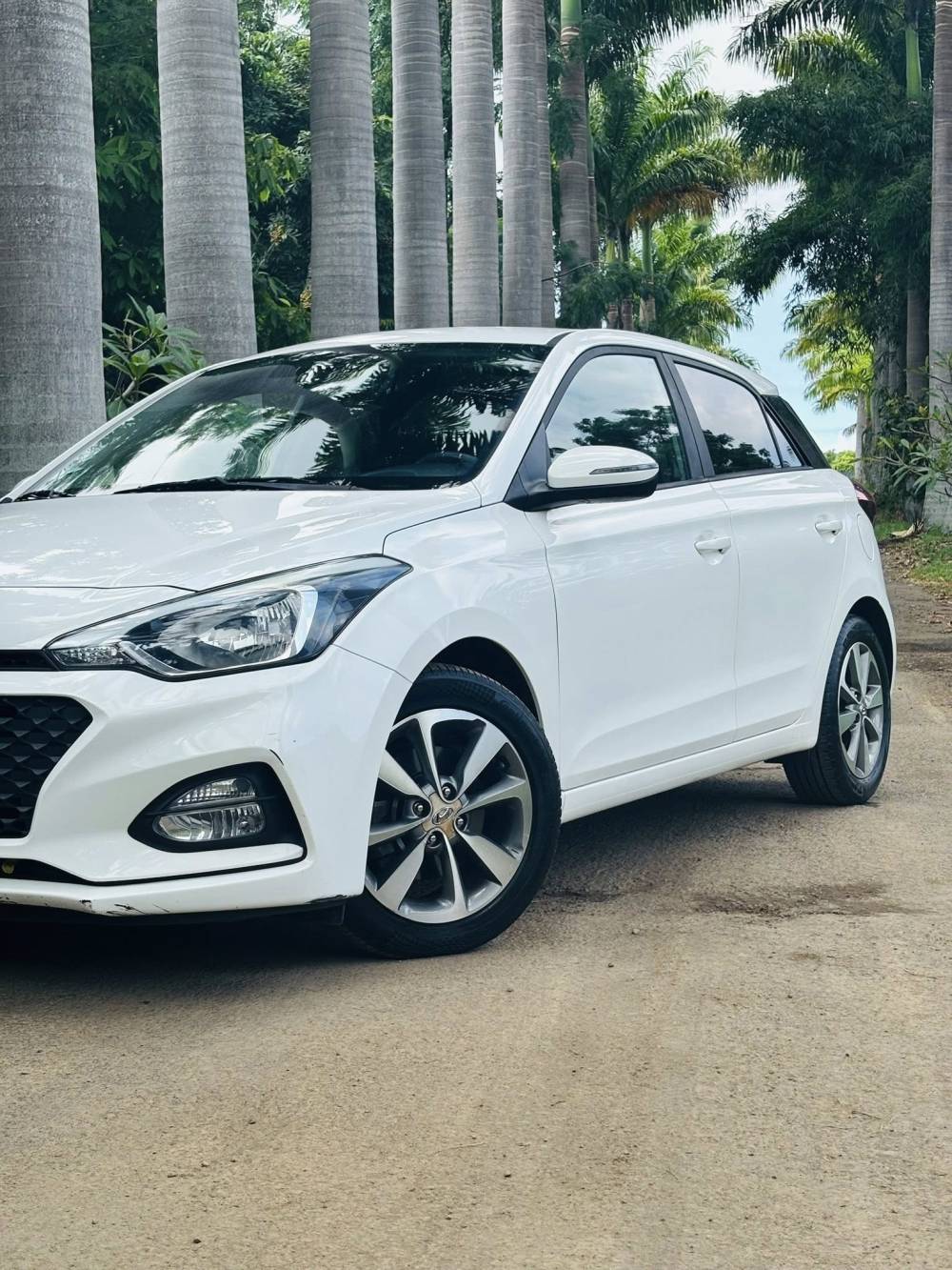 656169317_122241224294264513_6800105139003267062_n