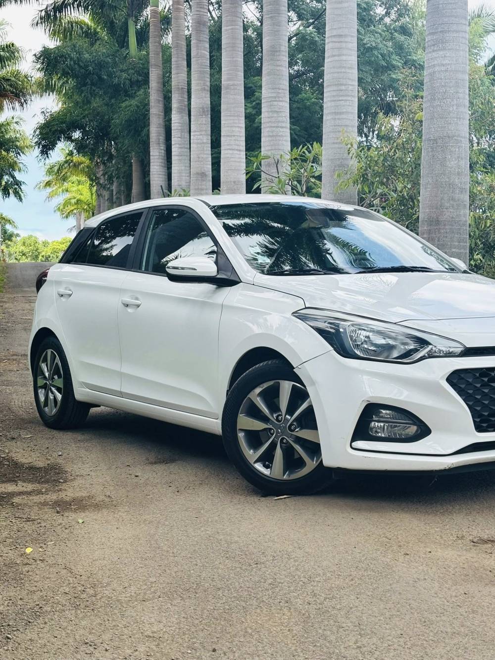 654448769_122241224222264513_5336370730441391932_n