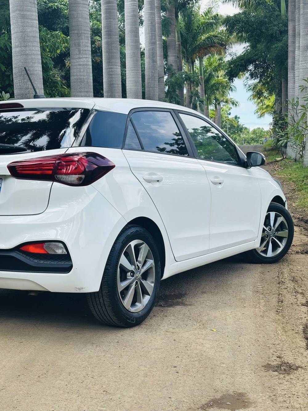 654220611_122241224228264513_7536067633431967649_n