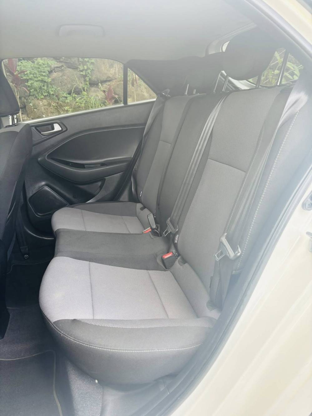 654730221_122241224306264513_8296377853879329228_n