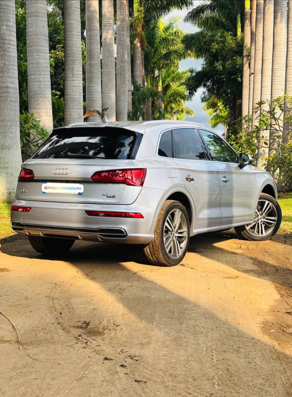 662230803_122242896890264513_418165277490820492_n