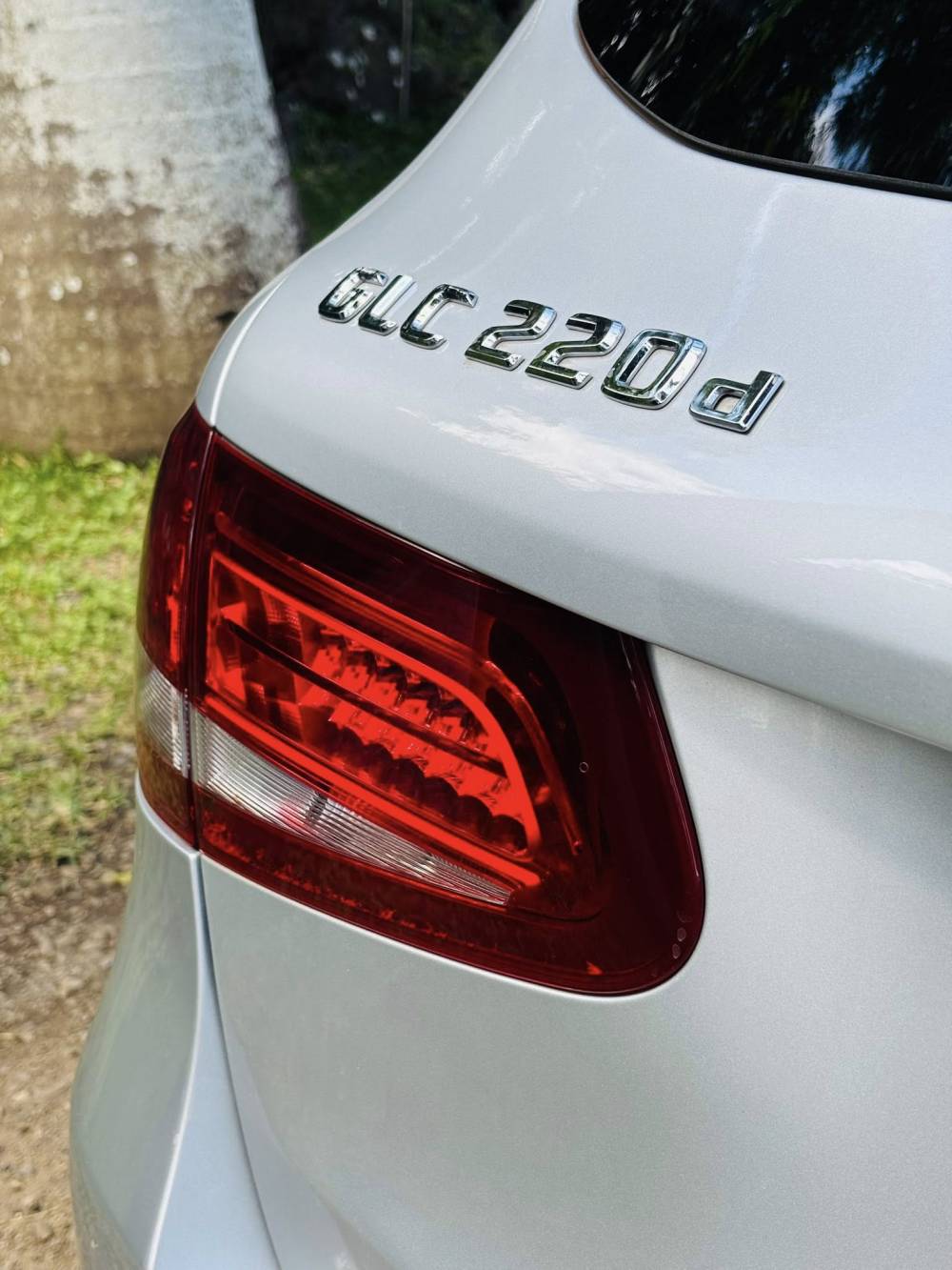 669619898_122244372668264513_6862183158566150549_n