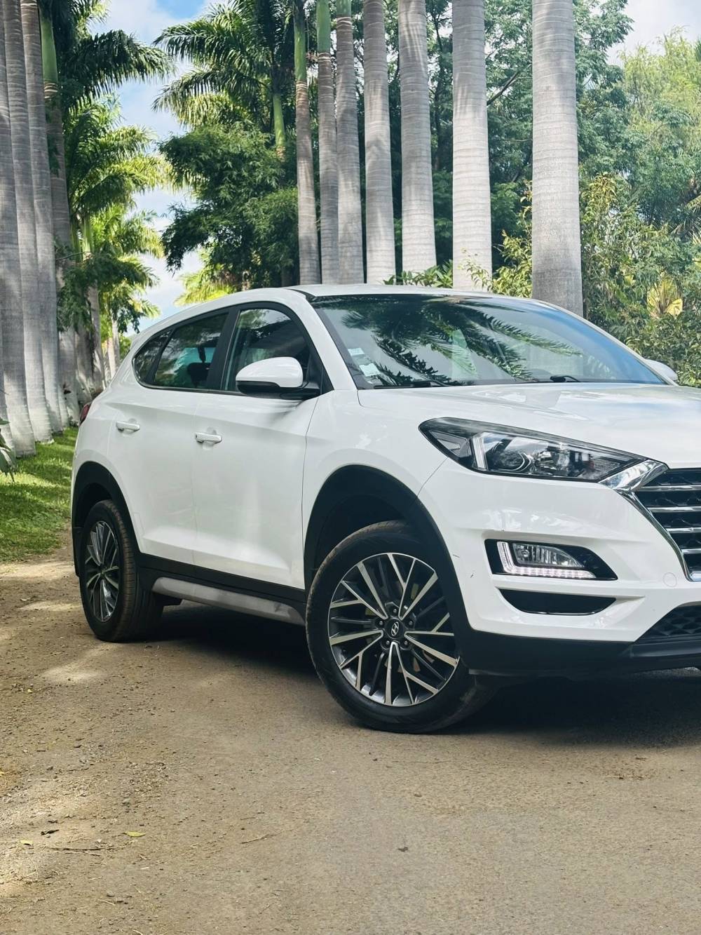 675246932_122245756106264513_6401116824860769346_n