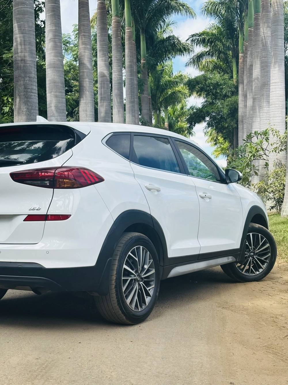 677263202_122245756124264513_9162864178983566687_n